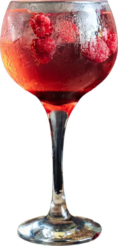 Indian Tonic Spritz